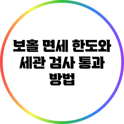 보홀 면세 한도와 세관 검사 통과 방법