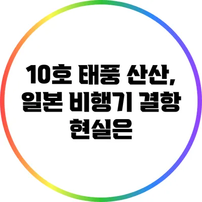 10호 태풍 산산, 일본 비행기 결항 현실은?