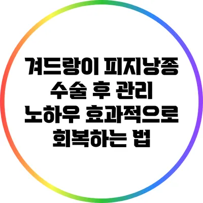 겨드랑이 피지낭종 수술 후 관리 노하우: 효과적으로 회복하는 법