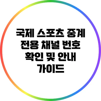 국제 스포츠 중계 전용 채널 번호 확인 및 안내 가이드