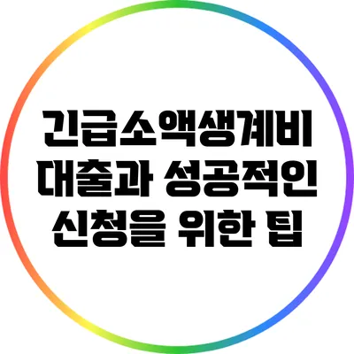 긴급소액생계비 대출과 성공적인 신청을 위한 팁