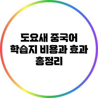 도요새 중국어 학습지 비용과 효과 총정리