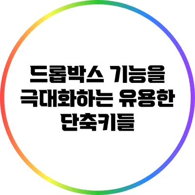 드롭박스 기능을 극대화하는 유용한 단축키들