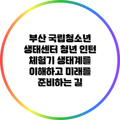 부산 국립청소년 생태센터 청년 인턴 체험기: 생태계를 이해하고 미래를 준비하는 길