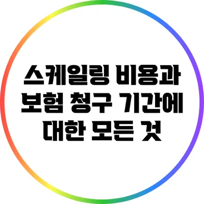 스케일링 비용과 보험 청구 기간에 대한 모든 것