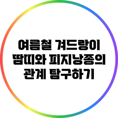 여름철 겨드랑이 땀띠와 피지낭종의 관계 탐구하기