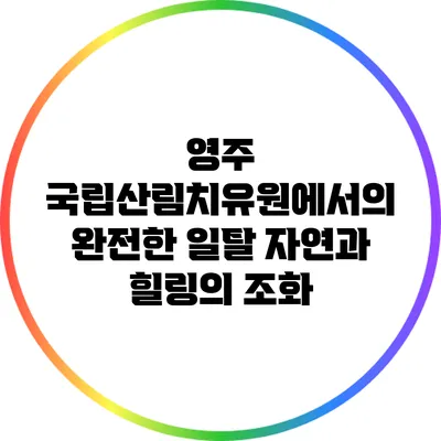 영주 국립산림치유원에서의 완전한 일탈: 자연과 힐링의 조화