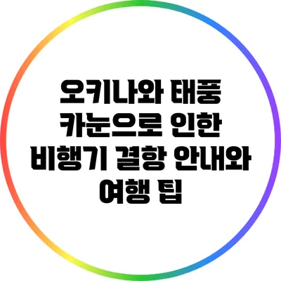 오키나와 태풍 카눈으로 인한 비행기 결항 안내와 여행 팁