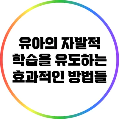 유아의 자발적 학습을 유도하는 효과적인 방법들