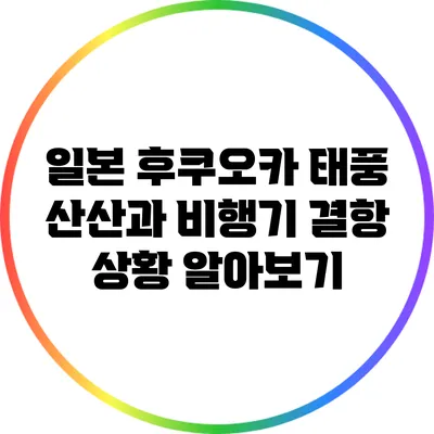 일본 후쿠오카 태풍 산산과 비행기 결항 상황 알아보기