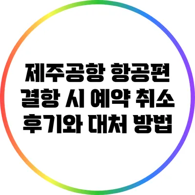 제주공항 항공편 결항 시 예약 취소 후기와 대처 방법