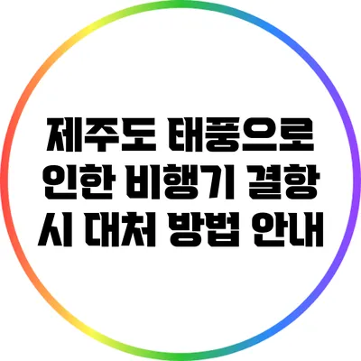 제주도 태풍으로 인한 비행기 결항 시 대처 방법 안내