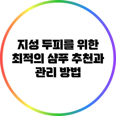 지성 두피를 위한 최적의 샴푸 추천과 관리 방법