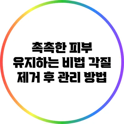 촉촉한 피부 유지하는 비법: 각질 제거 후 관리 방법