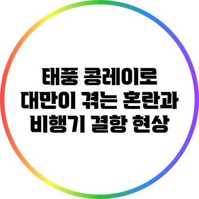 태풍 콩레이로 대만이 겪는 혼란과 비행기 결항 현상