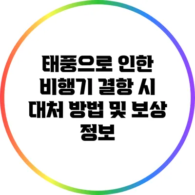 태풍으로 인한 비행기 결항 시 대처 방법 및 보상 정보