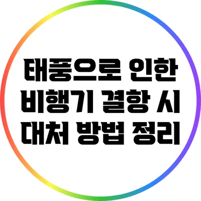 태풍으로 인한 비행기 결항 시 대처 방법 정리
