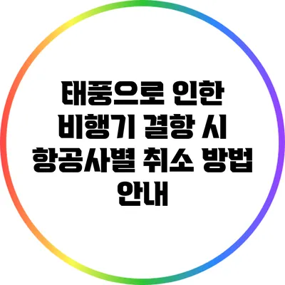 태풍으로 인한 비행기 결항 시 항공사별 취소 방법 안내