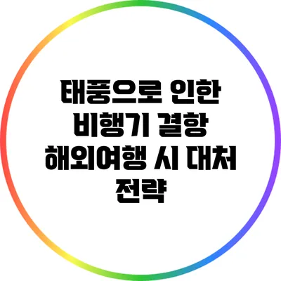 태풍으로 인한 비행기 결항: 해외여행 시 대처 전략