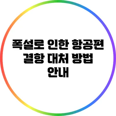폭설로 인한 항공편 결항 대처 방법 안내