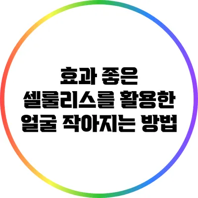 효과 좋은 셀룰리스를 활용한 얼굴 작아지는 방법