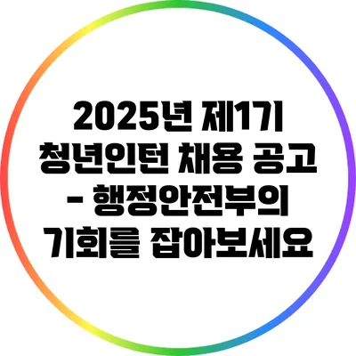 2025년 제1기 청년인턴 채용 공고 - 행정안전부의 기회를 잡아보세요