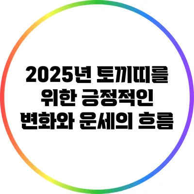 2025년 토끼띠를 위한 긍정적인 변화와 운세의 흐름