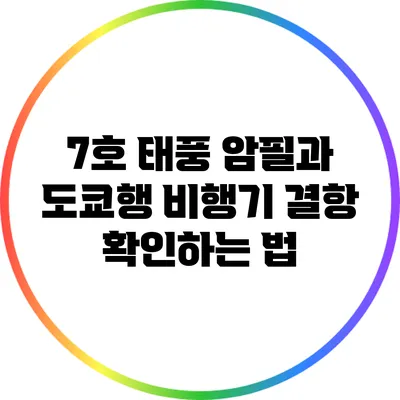 7호 태풍 암필과 도쿄행 비행기 결항 확인하는 법
