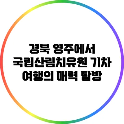 경북 영주에서 국립산림치유원 기차 여행의 매력 탐방