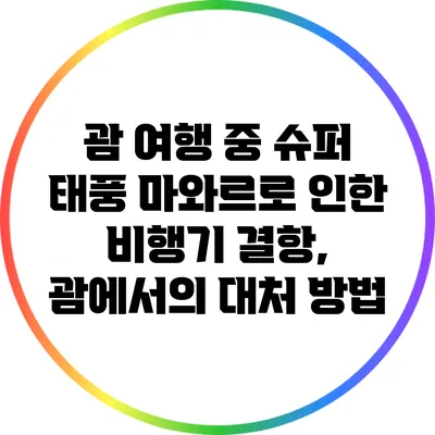 괌 여행 중 슈퍼 태풍 마와르로 인한 비행기 결항, 괌에서의 대처 방법