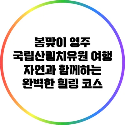 봄맞이 영주 국립산림치유원 여행: 자연과 함께하는 완벽한 힐링 코스