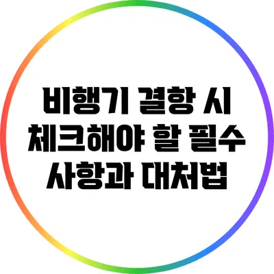 비행기 결항 시 체크해야 할 필수 사항과 대처법