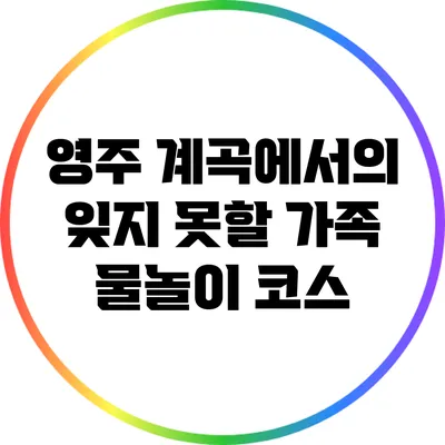 영주 계곡에서의 잊지 못할 가족 물놀이 코스