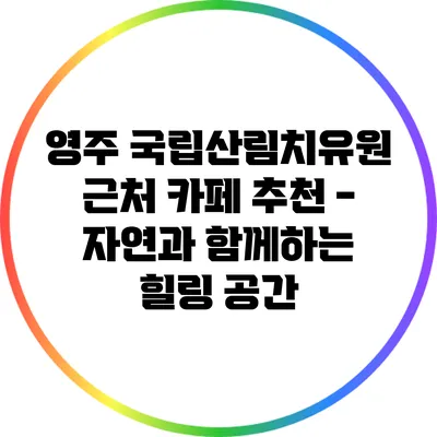 영주 국립산림치유원 근처 카페 추천 - 자연과 함께하는 힐링 공간