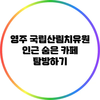 영주 국립산림치유원 인근 숨은 카페 탐방하기