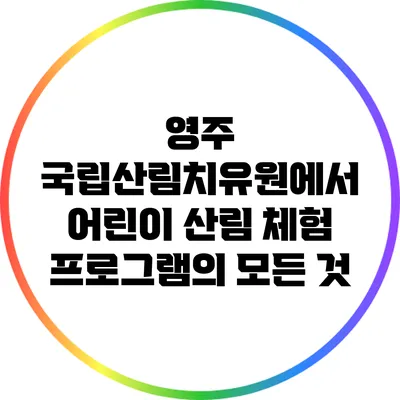 영주 국립산림치유원에서 어린이 산림 체험 프로그램의 모든 것