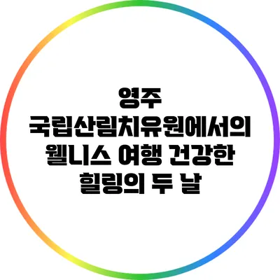 영주 국립산림치유원에서의 웰니스 여행: 건강한 힐링의 두 날