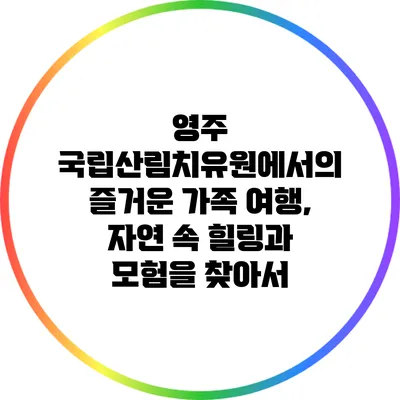영주 국립산림치유원에서의 즐거운 가족 여행, 자연 속 힐링과 모험을 찾아서
