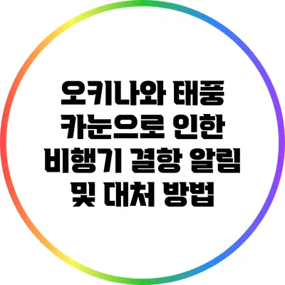 오키나와 태풍 카눈으로 인한 비행기 결항 알림 및 대처 방법