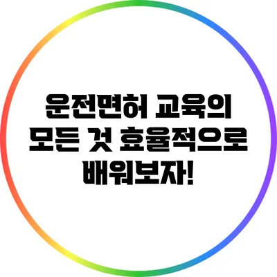 운전면허 교육의 모든 것: 효율적으로 배워보자!