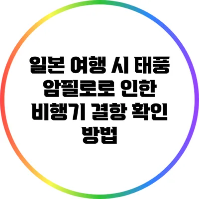 일본 여행 시 태풍 암필로로 인한 비행기 결항 확인 방법