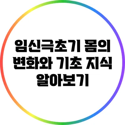 임신극초기: 몸의 변화와 기초 지식 알아보기