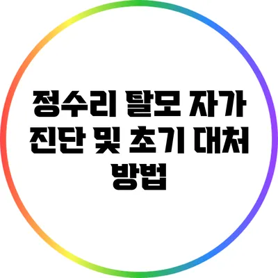 정수리 탈모 자가 진단 및 초기 대처 방법