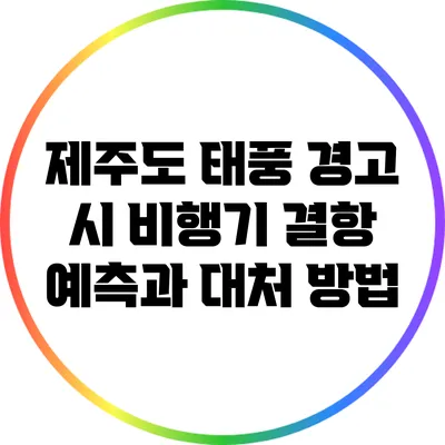 제주도 태풍 경고 시 비행기 결항 예측과 대처 방법
