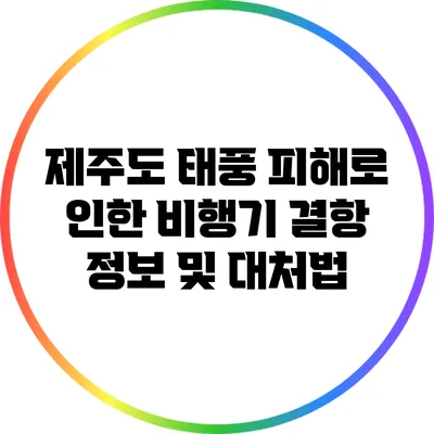 제주도 태풍 피해로 인한 비행기 결항 정보 및 대처법