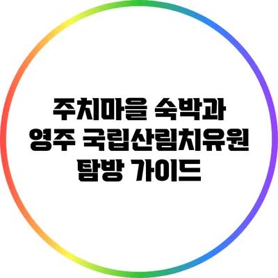 주치마을 숙박과 영주 국립산림치유원 탐방 가이드