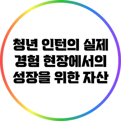 청년 인턴의 실제 경험: 현장에서의 성장을 위한 자산