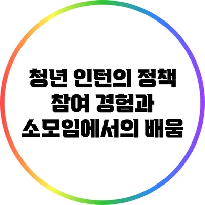 청년 인턴의 정책 참여 경험과 소모임에서의 배움