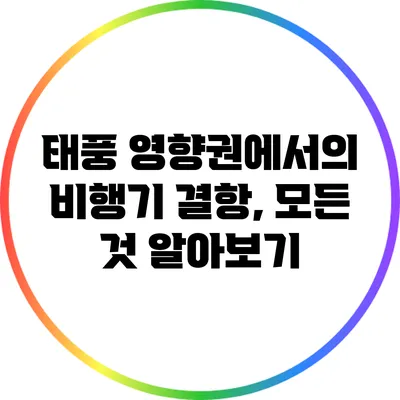 태풍 영향권에서의 비행기 결항, 모든 것 알아보기