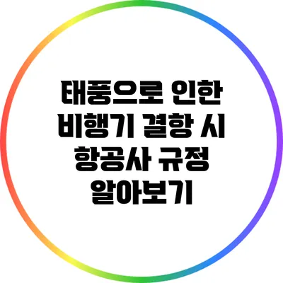 태풍으로 인한 비행기 결항 시 항공사 규정 알아보기